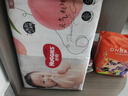 好奇（Huggies）铂金装小桃裤成长裤XXL74片(15kg以上)尿不湿【透爽散热】 实拍图