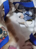 皇家幼猫奶糕猫粮 离乳期孕猫BK34通用粮 1-4月增强免疫亲肠胃助消化 【1-4月与孕期】BK34猫奶糕400g*4 实拍图