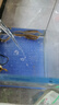 森森鱼缸增氧泵水族箱氧气泵LQE-200家用小型充氧泵4W双孔+全套配件 实拍图