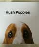 暇步士（Hush Puppies）细皮带女牛皮女士皮带ns风学生装饰百搭心机腰带生日礼物 实拍图