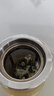 春上早茉莉花茶 2026新茶特级浓香型飘雪四川茉莉毛尖小袋60g 实拍图