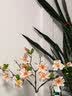 京东鲜花高档玉兰花3支假花仿真花束乔迁摆设装饰花卉客厅餐桌轻奢摆件 实拍图