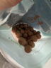 十月稻田 桂圆干 500g 带壳龙眼干 肉厚甘甜 休闲零食 枸杞红枣泡茶八宝粥 实拍图