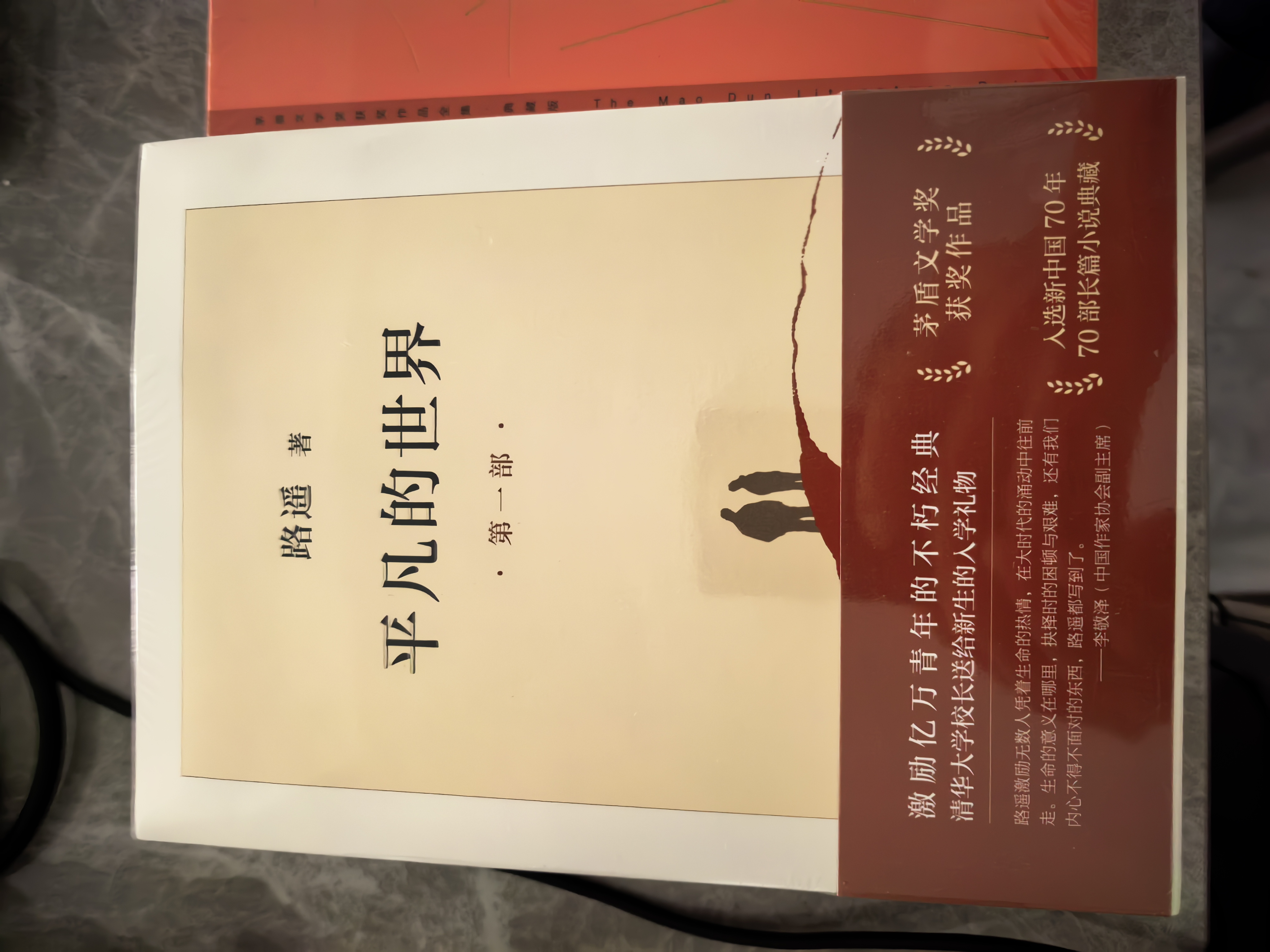 繁花（新版，茅盾文学奖获奖作品，新增人物小传，王家卫导演、胡歌主演同名剧集原著） 小说 实拍图