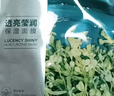 珀莱雅小球藻面膜补水保湿海藻补水玻尿酸面膜男女士生日礼物 实拍图