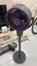 艾美特（AIRMATE）森氧MAX负离子QJ空气循环扇语音智能家用电风扇负离子净化落地扇台式桌面宿舍卧室办公室空调伴侣 【紫色中配款】AI语音闪控+森氧净化-SRD228 实拍图