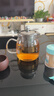 金灶（KAMJOVE）泡茶壶飘逸杯耐热玻璃茶具功夫办公室花茶壶茶水分离杯茶壶A-02 实拍图