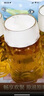 麒麟旗下（海珠）12P拉格500*24罐啤酒 整箱装踏春送礼端午节送礼 实拍图