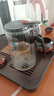 飘逸壶泡茶壶耐热高温玻璃沏茶过滤内胆冲茶器家用茶具套装 飘逸杯500mL1个 实拍图