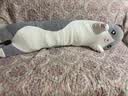 熊猫熊猫咪抱枕玩偶毛绒玩具女孩公仔大号布娃娃女生陪睡觉抱枕夹腿长条 实拍图