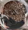 西麦低脂0糖纯黑麦片1.8KG 高蛋白膳食纤维健身代餐早餐无糖 实拍图