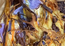 有机汇有机紫甘蓝 紫包菜卷心菜 沙拉轻食榨汁有机蔬菜 新鲜无农残 500g 实拍图