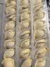 船歌鱼水饺黄花鱼水饺460g/24只速食面点生鲜饺子夜宵儿童早餐速冻半成品 实拍图