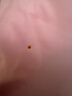 乌斯京（WOLSGIN）一次性手套丁腈橡胶手套30只装*大码丁晴手套洗碗家务耐用加长 实拍图