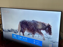 Vidda海信电视55英寸 R55【伸缩挂架版】一级能效 144Hz高刷 智慧屏 价保618液晶游戏平板电视机 实拍图