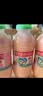 李子园【成毅代言】甜牛奶饮品低脂低糖荔枝味225ml*20瓶整箱营养早餐奶 实拍图