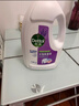 滴露（Dettol）衣物消毒液除菌柠檬3L 99.9%杀菌除螨内衣儿童衣服消毒水配洗衣液 实拍图