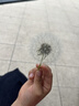 苏菲【王楚然同款】裸感S极上日用卫生巾25cm39片干爽姨妈巾京东自营 实拍图