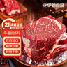 伊明食品进口原切牛瘦肉3斤 清真生鲜牛肉炖煮食材 鲜嫩不柴 实拍图