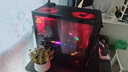 华硕TUF GAMING B850-PLUS WIFI主板 CPU 7800X3D/9800X3D/9600X(AMD B850/socket AM5) 实拍图