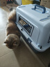 腆宠航空箱猫国航大号猫箱宠物航空箱狗狗猫包猫笼外出狗狗托运箱出行 实拍图
