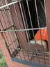北京304不锈钢防盗窗防护栏杆高层阳台飘窗防护网安全窗专业拆除 预约上门 单价一平米价格 实拍图