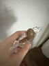 三只松鼠带壳卤汁花生五香味460g/袋水煮花生熟花生下酒菜深夜解馋小吃 实拍图