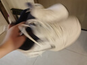 耐克NIKE男训练鞋老爹鞋AIR MONARCH IV运动鞋415445-102白蓝42.5 实拍图