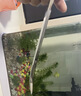 海斯迪克 HKCL-106 加厚水族馆工具平沙器不锈钢水草镊剪刀水草夹镜面镊子直/弯镊子 25cm镜面弯剪（剪刀） 实拍图