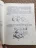 30天学会绘画畅销版 从零起步学素描绘画初学者入门自学零基础学画画书儿童成人绘画教程新手绘画技法技巧书籍 实拍图