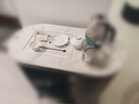 景德镇（jdz）陶瓷茶具整套高档家用功夫盖碗套装办公室中式简约高档礼物白玉兰 实拍图