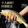 鲜喜利舟山深海大黄鱼礼盒半野生黄花鱼鲜活冷冻生鲜海鲜送礼包商用团购 4条礼盒装（单条约1斤） 实拍图