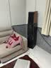 惠威（HiVi）M3等磁场带式高音 高保真无源音响 经典HIFI6.5英寸三分频书架 实木音响 M3+AD-86D（豪华版） 实拍图