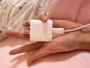 Apple/苹果 20W type-c充电器 苹果usb-c充电器原装手机快充头 旗舰店苹果iPhone 17 Pro Max充电器 实拍图