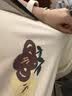 茵曼（INMAN）撞色罗纹棉女装U领短袖T恤修身气质通勤2026夏季新款短款上衣 深咖啡 S 实拍图