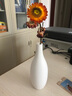 木子西年 日式陶瓷花瓶摆件素烧小号一枝花插干花假花仿真花绿萝水培花器 【款式一】函萱花瓶(不含花-高约20厘米) 实拍图