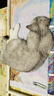 皇家猫粮 英短成猫粮 BS34 通用粮 12月以上 10KG 实拍图