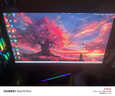 SANC盛色24.5英寸300Hz硬件低蓝光 Fast IPS 电竞显示器 耳机挂架小夜灯 HDR400认证电脑屏幕N50Pro7 实拍图