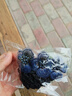 曲美思职业头花网兜韩国饰品护士空姐银行发网工作盘头发夹子女舞蹈考级 深蓝072 实拍图