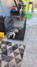 憨憨宠 狗笼猫笼 狗笼子小型犬带厕所幼犬折叠便携猫笼子宠物笼具兔笼 【精品升级加粗】狗丝 85*61*71cm 实拍图