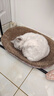 【京东物流】猫抓板磨爪猫窝一体耐磨不掉屑超大号猫玩具猫咪用品 椭圆大号+猫薄荷 实拍图