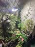 心有所属太阳能庭院照明灯户外防水三面发光人体感应壁灯农村院子家用分体 实拍图