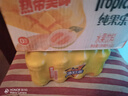 康师傅 冰红茶330ml*12瓶 柠檬红茶饮料饮品轻巧装整箱 热门商品 实拍图