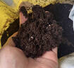 史丹利25L有机营养土大包装泥炭花土养花通用型家用土壤盆栽专用种植土 实拍图