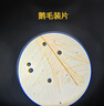 宝视德（bresser）显微镜初中生中考专用学生专业儿童实验生物移动卡尺生日礼物 实拍图