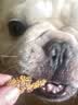 VETWISH唯特适天益能绿贻贝双鲨关节粉软骨素宠物保护关节犬猫通用22.5g 实拍图