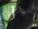 京东京造猫粮鸡肉味全价成猫粮10kg三文鱼肉营养美毛长肉质检流浪救助 实拍图