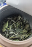 福茗源茶叶 福鼎白茶白牡丹 2017特级正宗生晒太姥山老白茶叶自己喝50g 实拍图
