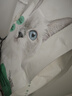 网易严选全价猫粮4.0成幼猫三文鱼亮毛养胃深海鱼虾1.8kg*4袋【宠物金选】 实拍图