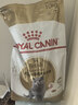 皇家猫粮 英短成猫粮 BS34 通用粮 12月以上 10KG 实拍图